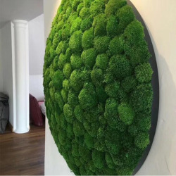 Искусственное зеленое растение, вечный бриофит, украшение для дома, стены, сада, Фотофон «сделай сам», мини-цветок, украшение