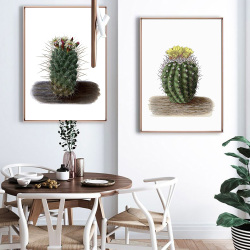 Картина на холсте с изображением кактуса и растений