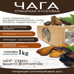 Чага березовая упаковка 1 кг кусковая рубленая отборная чага-чай 100% натуральный лесной сбор Сибири производитель CHAGAFOOD