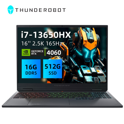 Игровой ноутбук Thunderobot R16 i7-13650HX RTX4060