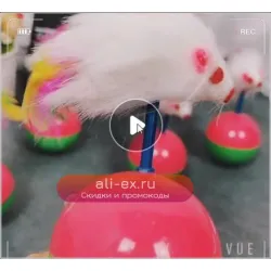 Пластиковые игрушки для кошек petcircle