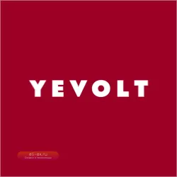 Аккумуляторная дрель YEVOLT YVGBD20DU2