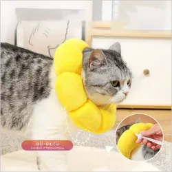 Haustier-Schutzhalsband, Hundehals-Erholungskegel-Halsband, verstellbares Erholungshalsband для Katzen, Collare Chihuahua
