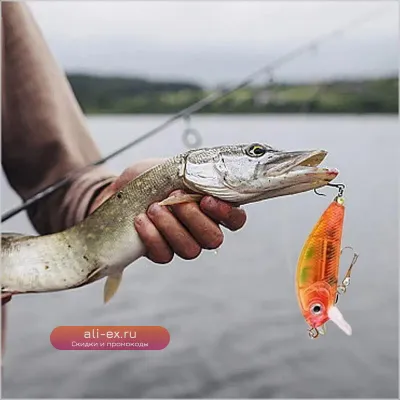 Рождественский календарь-адвент для рыболовов EASYFISH с приманками