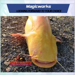 Силиконовая приманка для сома Magic Works Tairubber 100г, 140г, 180г
