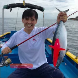 Приманки Chounvren Trolling Top Lures для лосося и скумбрии, набор для морской рыбалки с лодки, поверхностные попперы