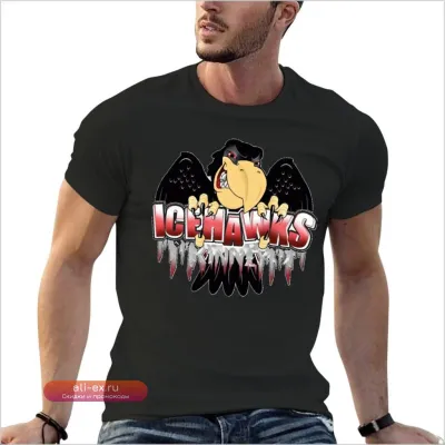 Классическая мужская футболка Port Huron Ice Hawks oversize