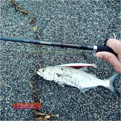 Hunthouse Tide Minnow Slim 175S: 175мм/34г джеркбейт для морского окуня и форели
