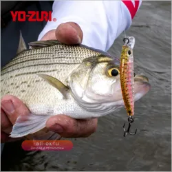 YO-ZURI 3DR-X Submerged Mino воблер тонущий для ловли окуня и судака