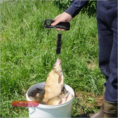 Портативные цифровые весы для багажа с крюком, компактные, легкие, с точным ЖК-дисплеем