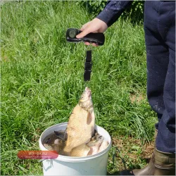 Портативные цифровые весы для багажа с крюком, компактные, легкие, с точным ЖК-дисплеем