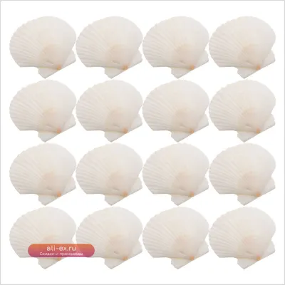 Натуральные Белые Ракушки Гребешка 21 шт. для DIY, Декора, Пляжной Вечеринки, Аквариума