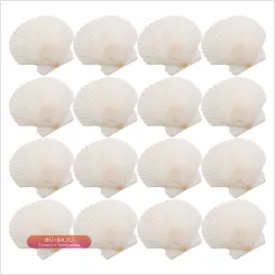 Натуральные Белые Ракушки Гребешка 21 шт. для DIY, Декора, Пляжной Вечеринки, Аквариума