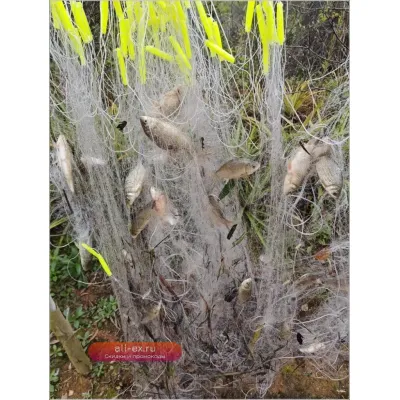 Леска для рыбалки 20/35/50 м, трехслойная плавучая жаберная сеть