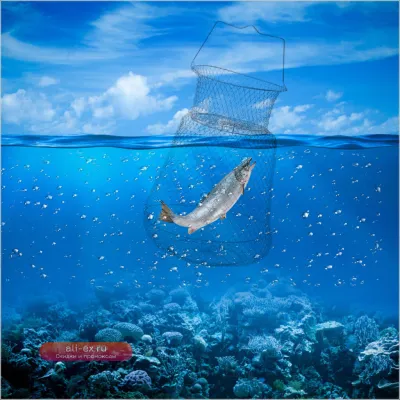 Складная рыболовная сеть-ловушка для крабов и лобстеров (30 см)