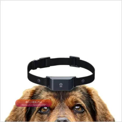 GPS-трекер для собак и кошек с мониторингом активности и голосовой связью