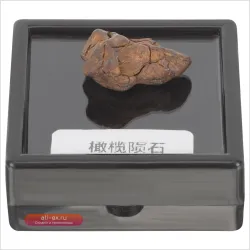 Натуральный образец метеорита Литосидерит для образовательных целей и декора