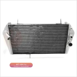 Сборка радиатора охлаждения для Aprilia Shiver 750 (2007-2016) и Dorsoduro 750 (2009-2016)