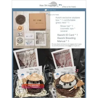 Pet Stone Minions Otto Same Style Keepers