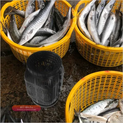 Аквариумная садковая клетка для разведения рыбы