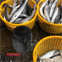 Аквариумная садковая клетка для разведения рыбы