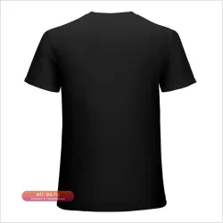 Футболка "Нильс Хольгерссон в полёте с дикими гусями"