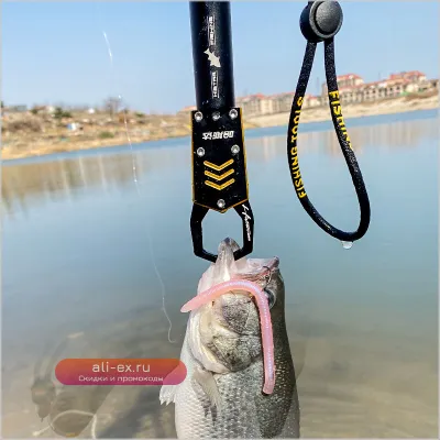 Щипцы для рыбалки HISTAR с подшипником и патентованным дизайном