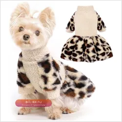 Стильная одежда для собак: свитера, платья и костюмы для щенков