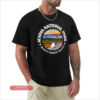 Футболка Acadia National Park Baggy Fit для мужчин