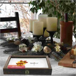 Деревянная винтажная коробка для демонстрации насекомых с акриловой рамой, прозрачной пылезащитной крышкой и настольной витриной